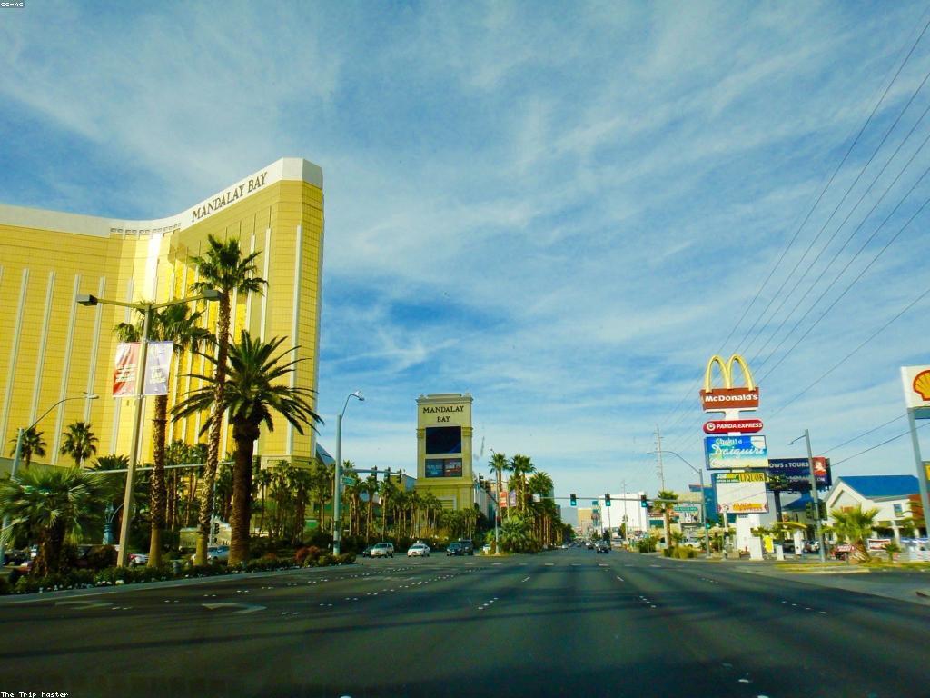 វិធីលេងកាស៊ីណូ៖ របៀបសម្រាប់អ្នកចាប់ផ្តើម