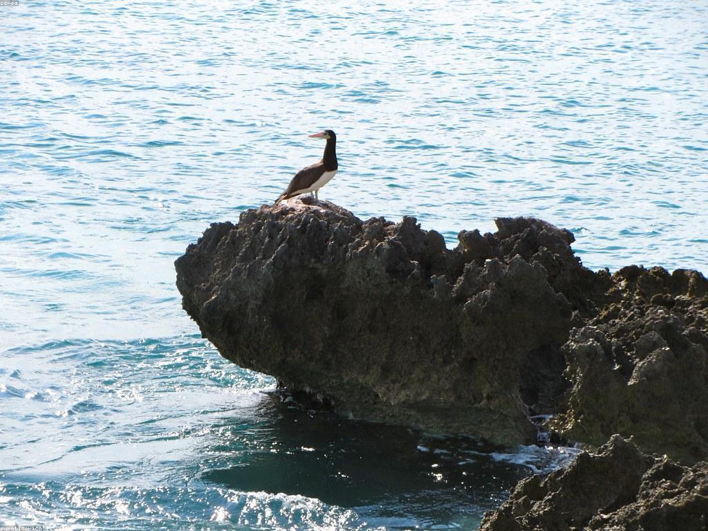 វប្បធម៍និងការពិចារណាអំពីកាស៊ីណូ