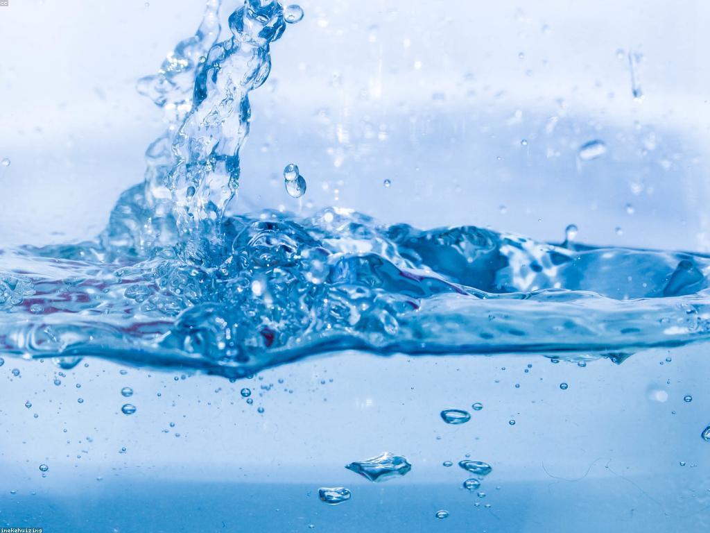 ការវាយតម្លៃកាស៊ីណូ: ការជ្រើសរើសកាស៊ីណូដែលត្រឹមត្រូវសម្រាប់អ្នក